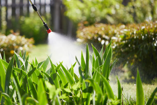 24/7 Emergency Fumigation Services experts in Cardington, OH