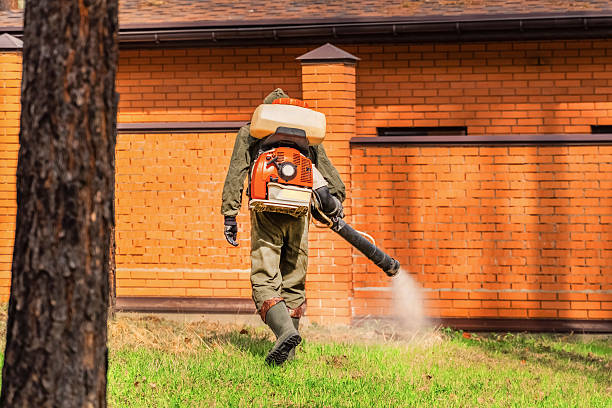 Trusted Termite Control service in Cardington, OH - Nex Pest Control